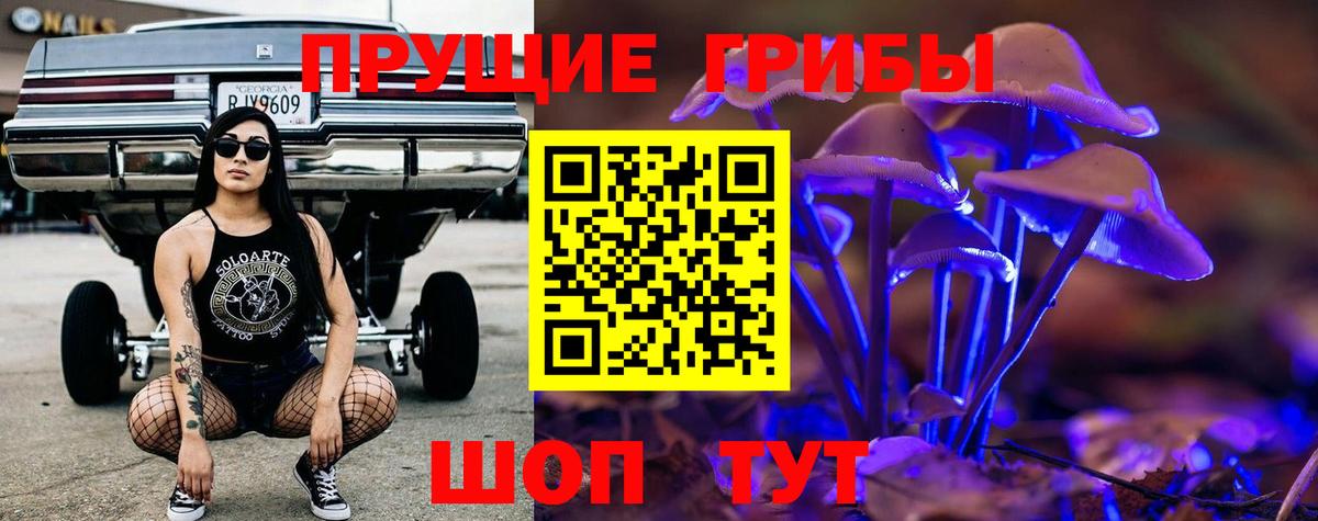 Галлюциногенные грибы Magic Shrooms  Вход с VPN  Псилоцибиновые грибы GOLDEN TEACHER  Малоярославец 